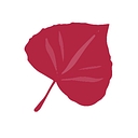 Favicon of Aspen Travel