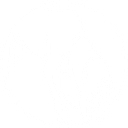 Assurance Forensic Accounting Cpas, Llc logo