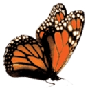 The Asthma & Allergy Center, Pc logo