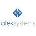 A Tek Systems Group logo