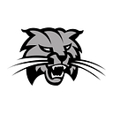 Athens Area School logo