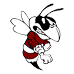 ATHENS H S logo