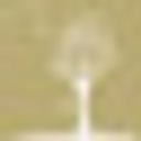 Atithi Parinay logo