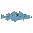 Atlantic Public Media Inc logo