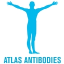 Atlas Antibodies AB logo