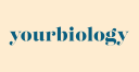 YourBiology Australia logo