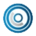 Interactive Vision Solutions logo