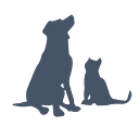 Augusta Road Animal Hospital