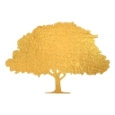 The August Wealth Management Group logo