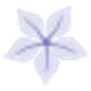 auracacia.com icon