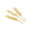 Aura Commodities logo