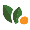Aurawill logo