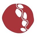 Favicon of Aurora Education Foundation