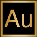 Aurum Developments logo