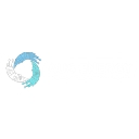 Aus Solar Co logo