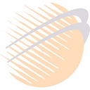 Auspac Ingredients logo