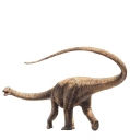 Australian Age Of Dinosaurs logo