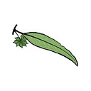 Australian Ecosystems Pty Ltd logo