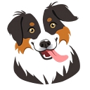 australischeherder.nl logo