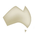 Ausure logo