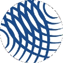Authentic Vibe logo