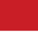 Auto Plas International logo