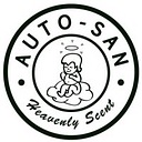 Auto San Llc logo