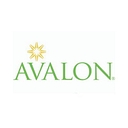 The Avalon Consulting Group Inc