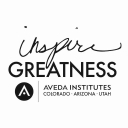 avedainstituteprovo.com/ logo