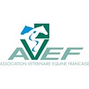 Favicon of AVEF