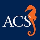 AVERY COONLEY SCHOOL