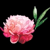 Avery Lane, Llc logo