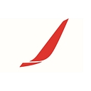 Aviation Partners Inc. logo