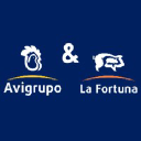 Avigrupo