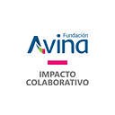Avina Americas Inc logo