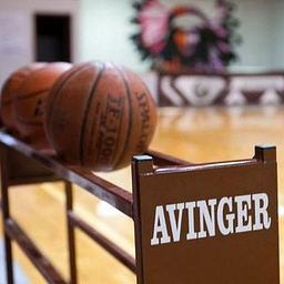 AVINGER SCHOOL logo