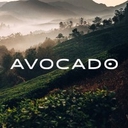 Avocado Mattress logo