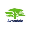 Avondale Environmental Services Ltd logo