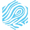 Indie Education HR & Payroll logo