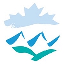 Axion Insurance Services Inc. logo