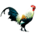 Ayam Penyet Ria logo
