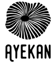 ayekanchile.com logo