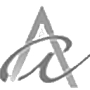 Ayoub And Associates Inc logo
