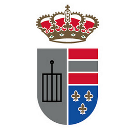 aytosanlorenzo.es