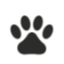 Azalea City Animal Hospital logo