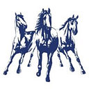 Az Liberty Network logo