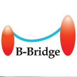 B-Bridge International, Inc. logo