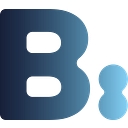 Favicon of Business Intelligence Group