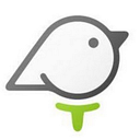 BIRDIES 4 BRAINS MN INC logo