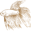 Baan Personeelsdiensten b.v. logo